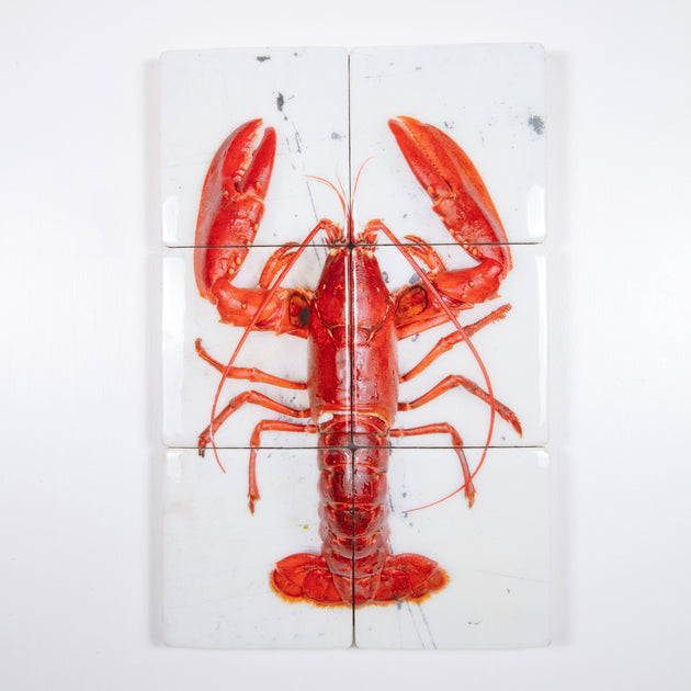 LOBSTER 148cm CARTEL S