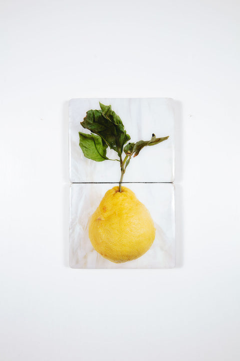 King lemon (24cm x 40cm)