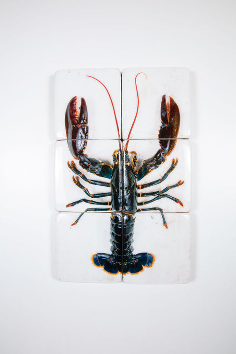 Oosterschelde lobster on white table (40cm x 60cm)