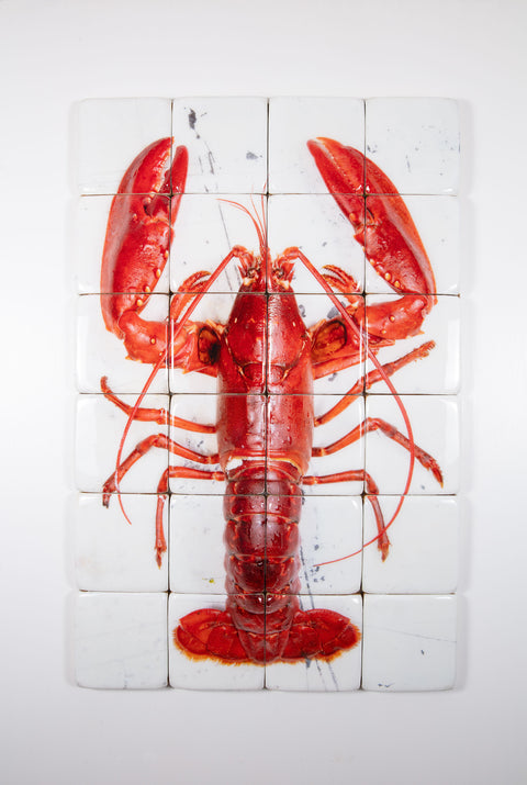 Red Oosterschelde lobster on white table (80cm x 120cm)
