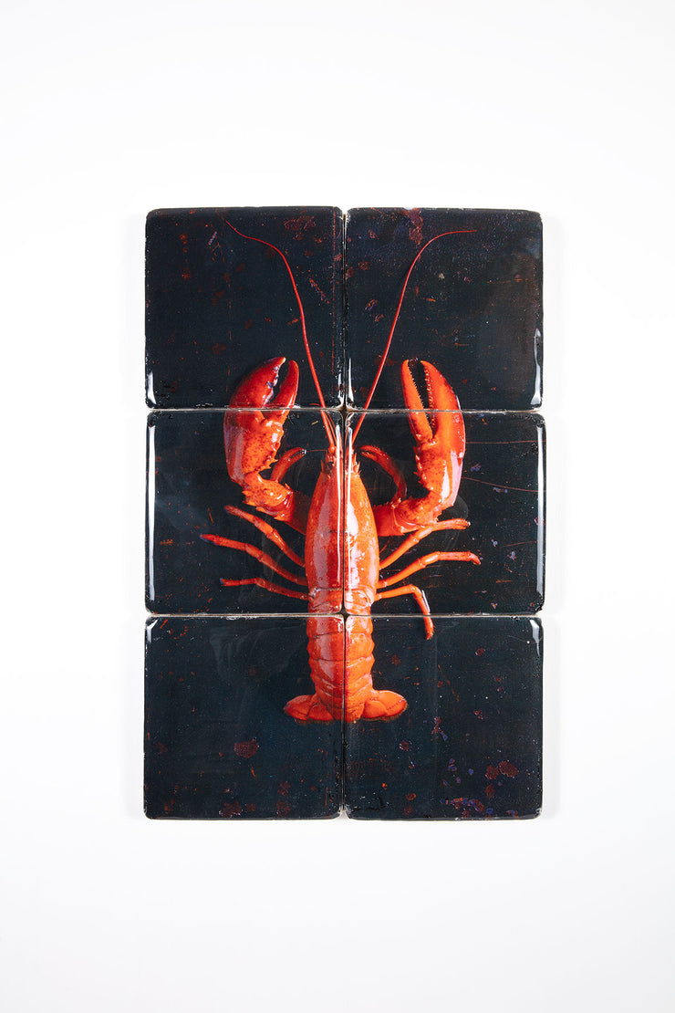 Cooked canner lobster on black (40cm x 60cm)