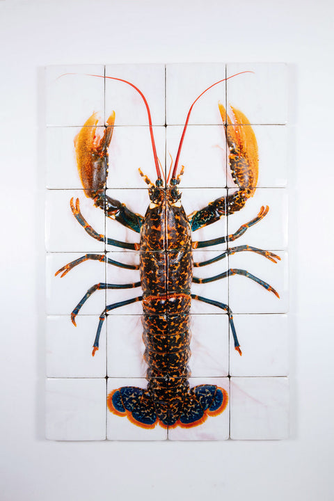 Portugese lobster (80cm x 120cm)