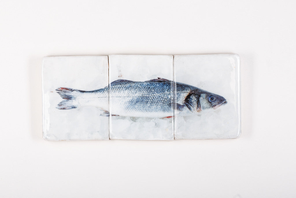 Blue sea bass (60cm x 24cm) Stigerwoods