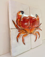 Portugese crab (40cm x 40cm)