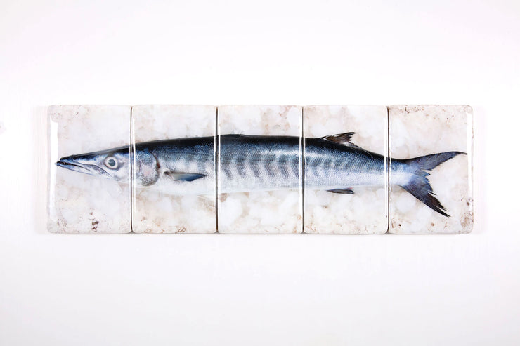 Barracuda (100cm x 29cm)