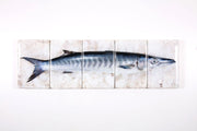 Barracuda (100cm x 29cm)