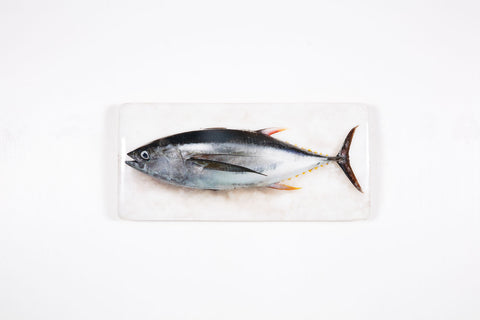 Bigeye tuna (40cm x 20cm)