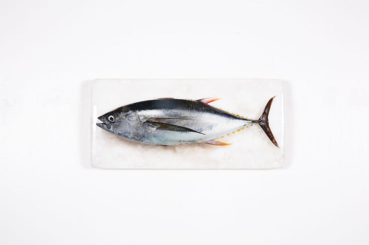 Bigeye tuna (40cm x 20cm)