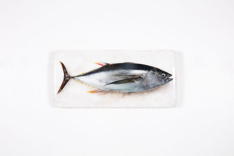 Bigeye tuna (40cm x 20cm)