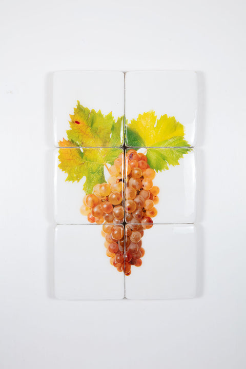 Bolgheri Grattamacco Vermentino 