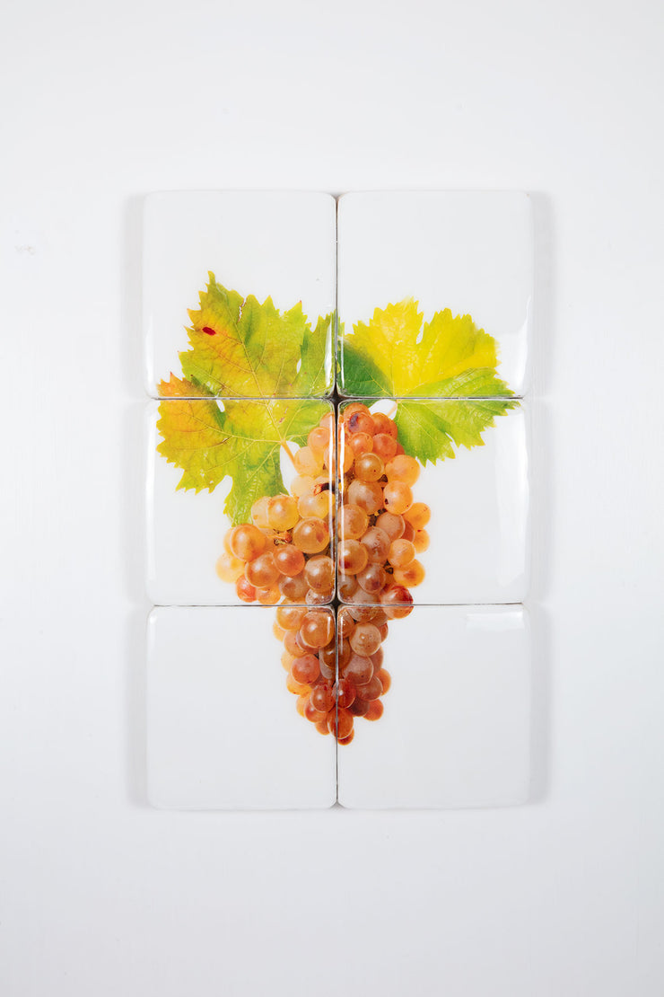 Bolgheri Grattamacco Vermentino 