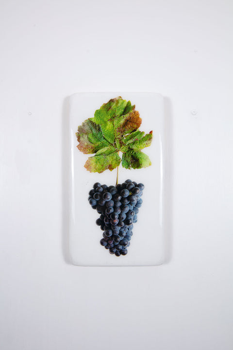 Bourgogne Pommard Clos Epenaux Pinot Noir (20cm x 35cm)