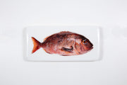 Brown dorade rose (40cm x 20cm)