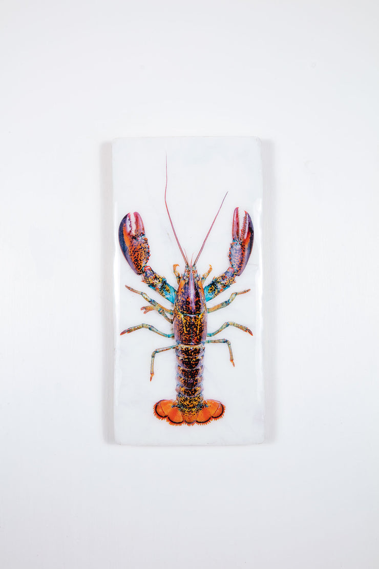 Canner lobster (20cm x 40cm)