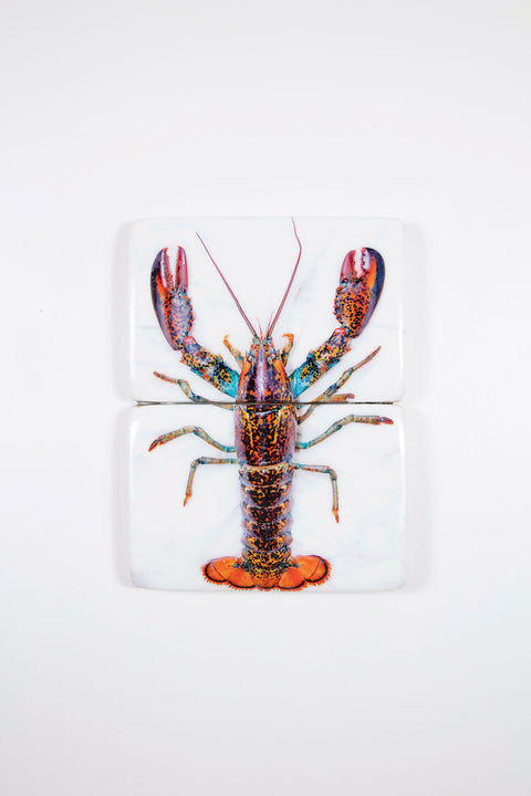 Canner lobster (29cm x 40cm)