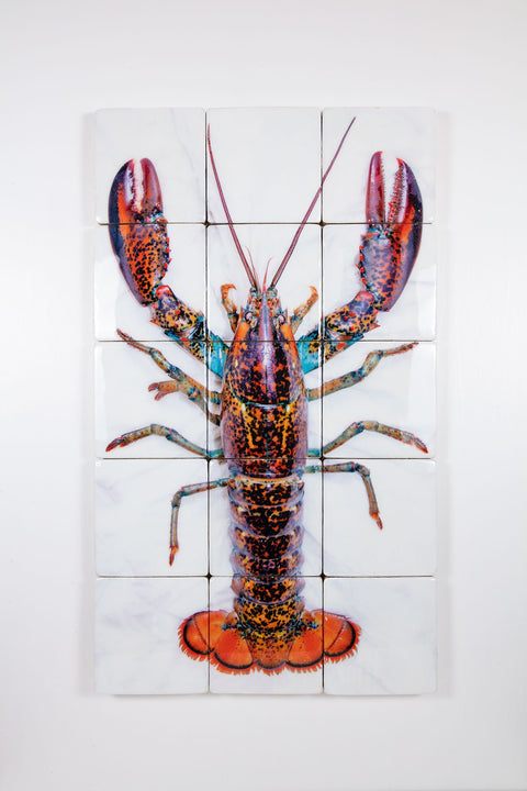Canner lobster (60cm x 100cm)