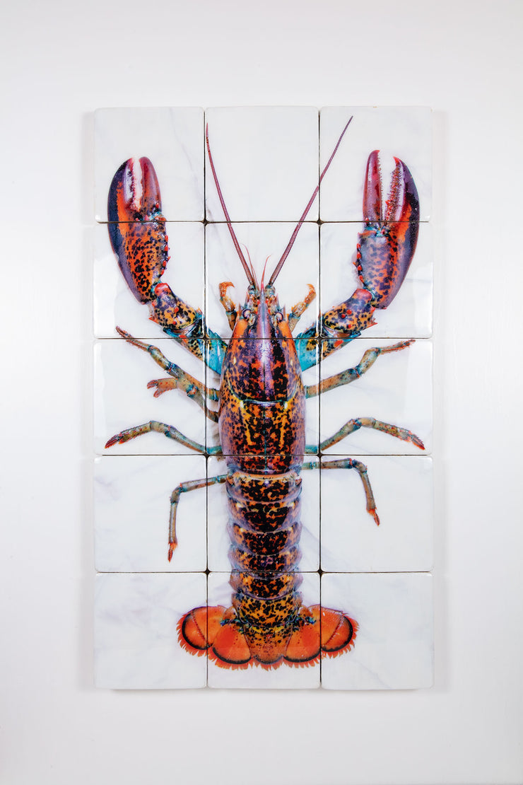 Canner lobster (60cm x 100cm)