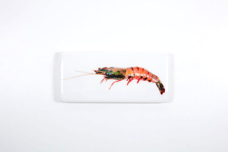 Coloured giant shrimp (40cm x 20cm)