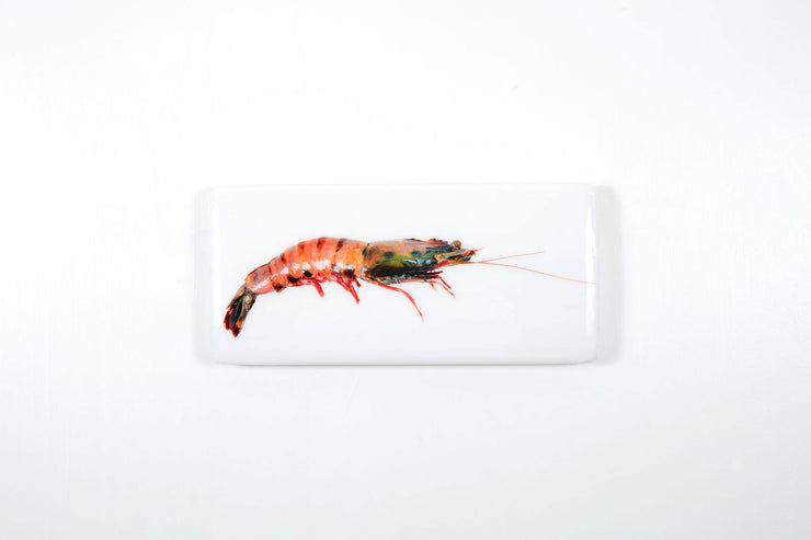 Coloured giant shrimp (40cm x 20cm)