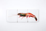 Coloured giant shrimp (60cm x 24cm)