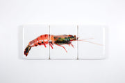 Coloured giant shrimp (60cm x 24cm)