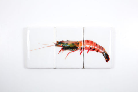 Coloured giant shrimp (60cm x 29cm)