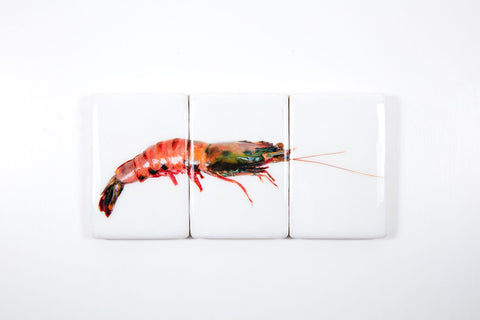 Coloured giant shrimp (60cm x 29cm)