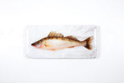 Coloured pike (40cm x 20cm)