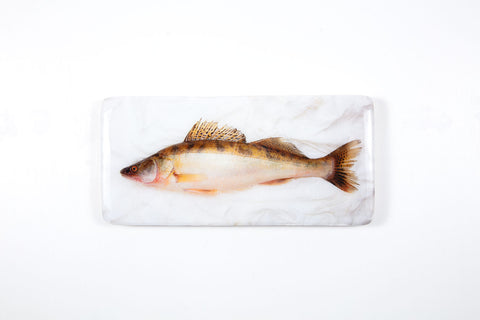 Coloured pike (40cm x 20cm)
