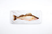 Coloured pike (40cm x 20cm)