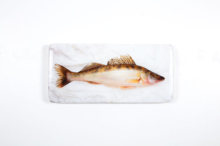 Coloured pike (40cm x 20cm)