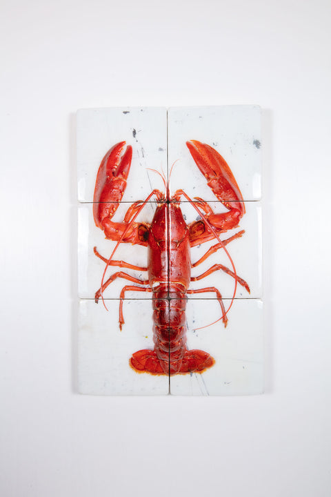 Red Oosterschelde lobster on white table (40cm x 60cm)