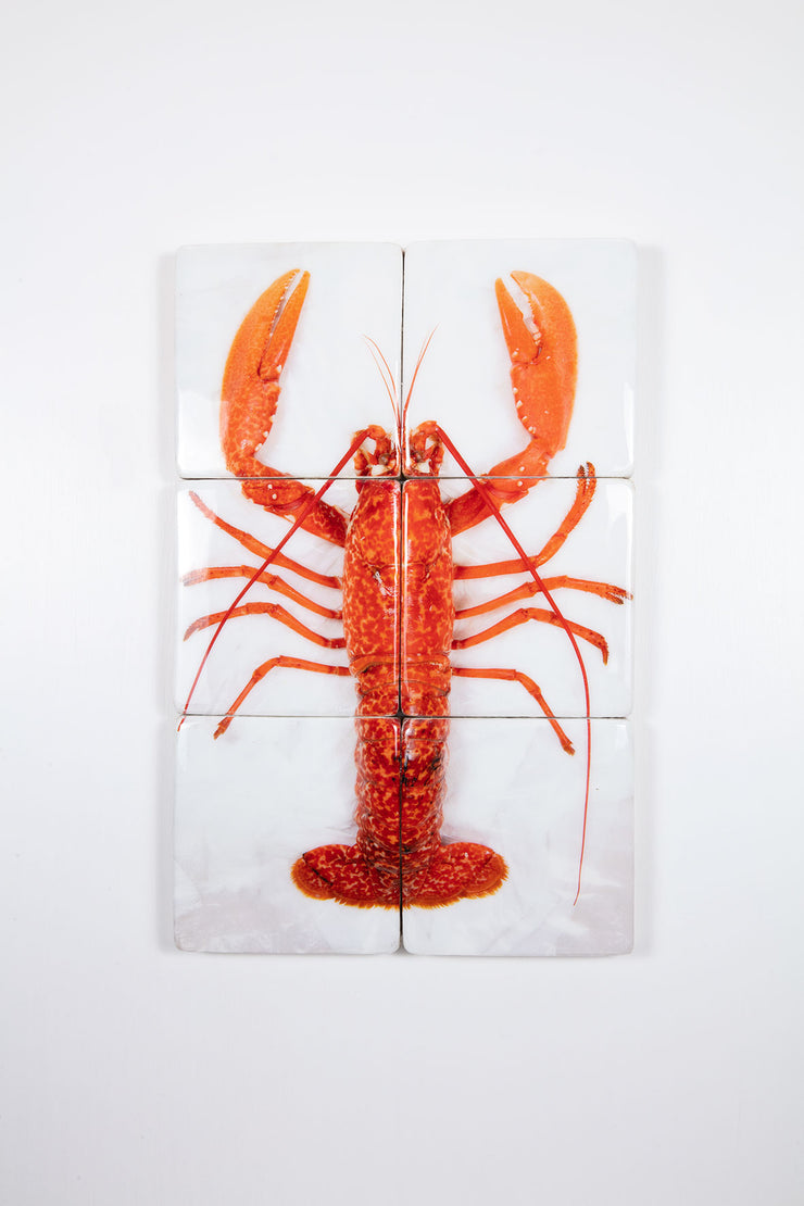 Cooked Portugese lobster (40cm x 60cm)