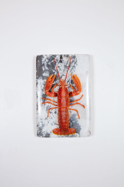 Red european lobster on black and white table (20cm x 29cm)