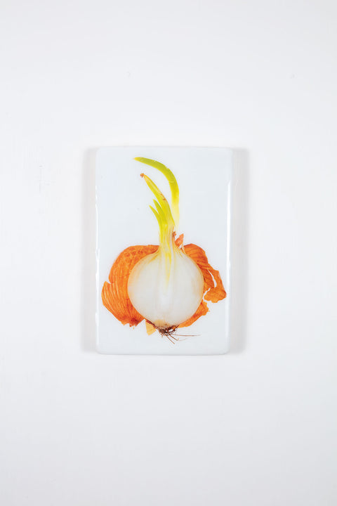 Cut smoked onion (20cm x 29cm)