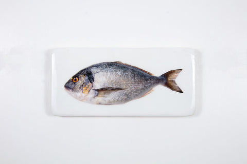 Dorade (40cm x 20cm)