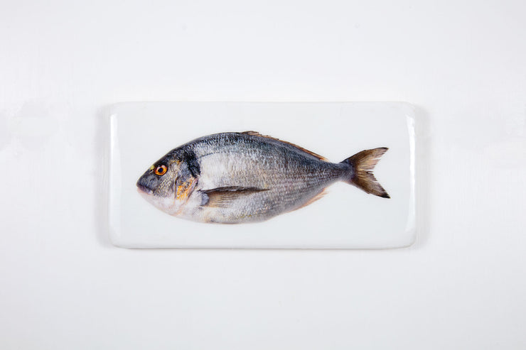 Dorade (40cm x 20cm)