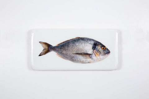Dorade (40cm x 20cm)