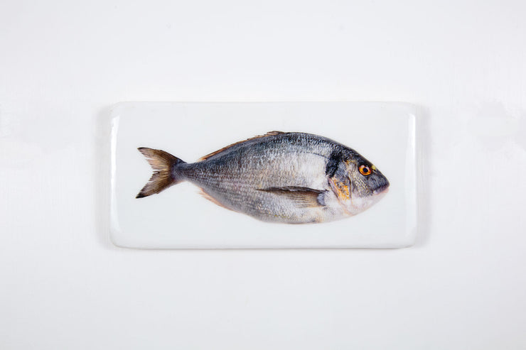 Dorade (40cm x 20cm)