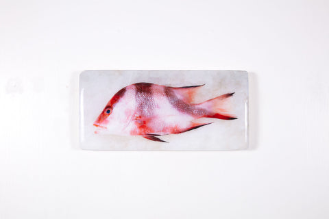 Emperor red snapper (40cm x 20cm)