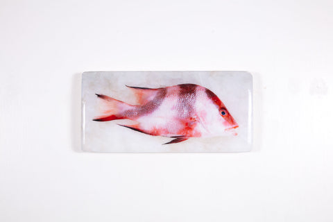 Emperor red snapper (40cm x 20cm)