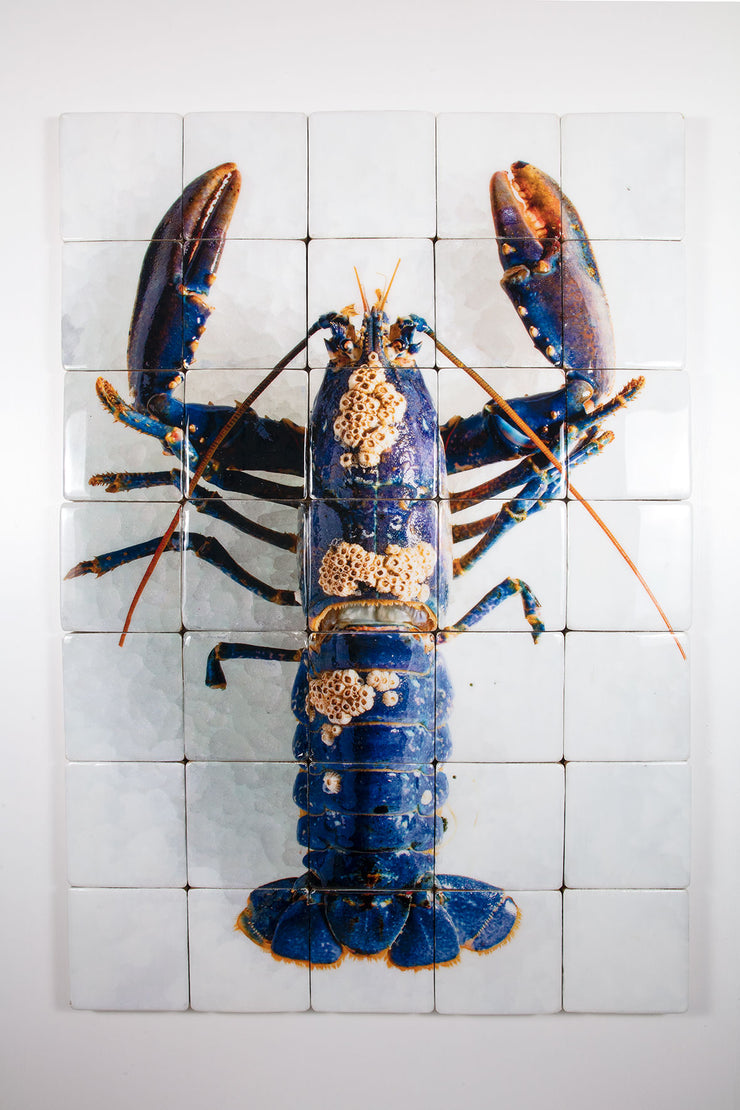European lobster barnacles (100cm x 140cm)