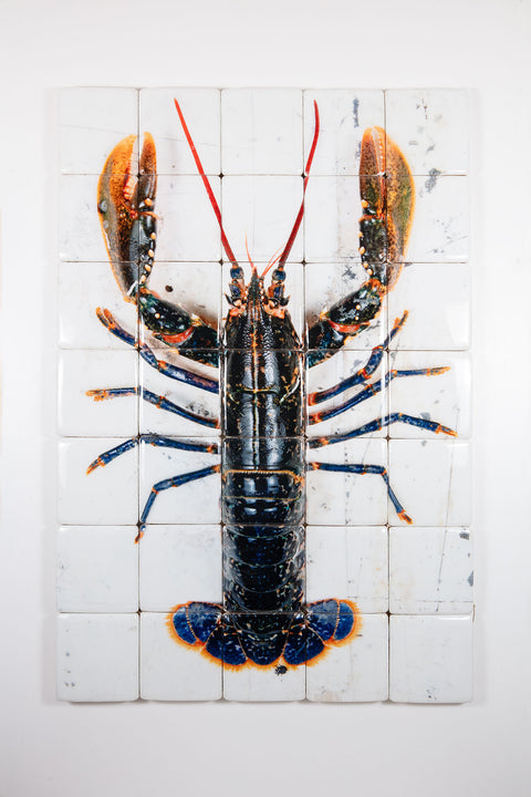 European lobster on white table (100cm x 140cm)