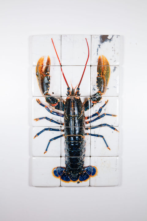 European lobster on white table (60cm x 100cm)