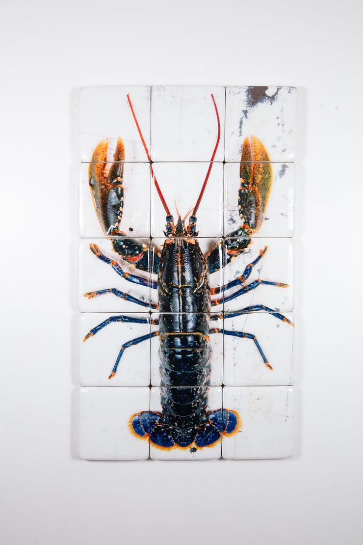 European lobster on white table (60cm x 100cm)