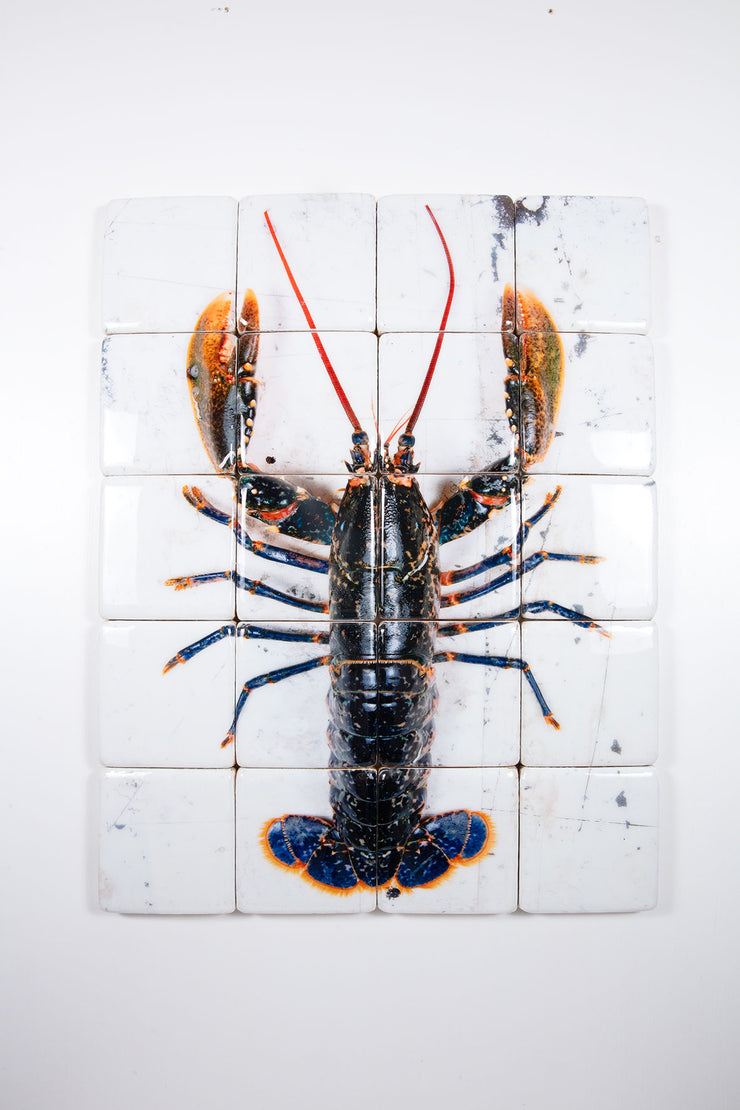 European lobster on white table (80cm x 100cm)