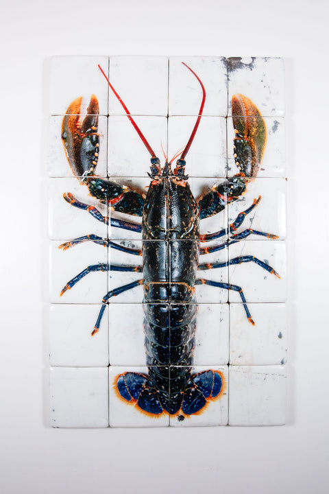 European lobster on white table (80cm x 120cm)