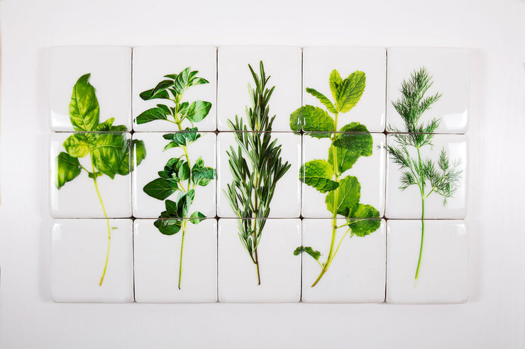 Five herbs (100cm x 60cm)