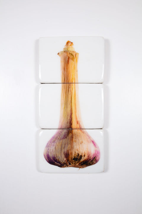 Fresh garlic (29cm x 60cm)