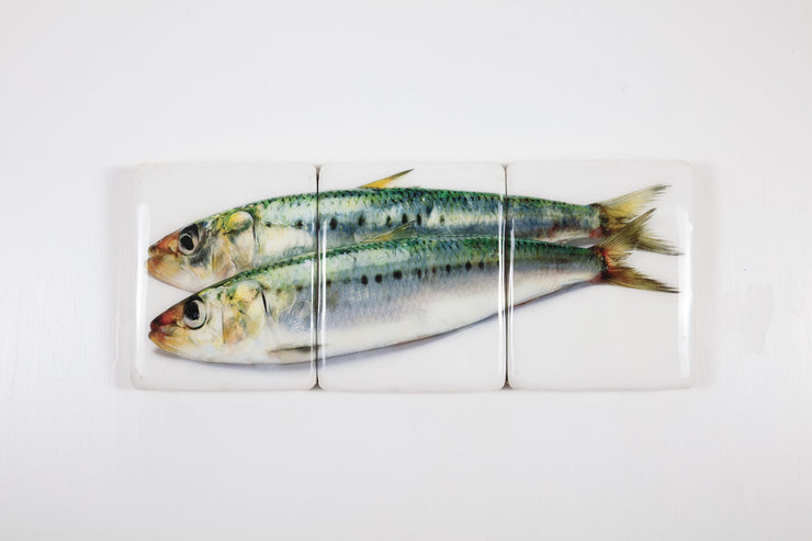 Green sardines (60cm x 24cm)